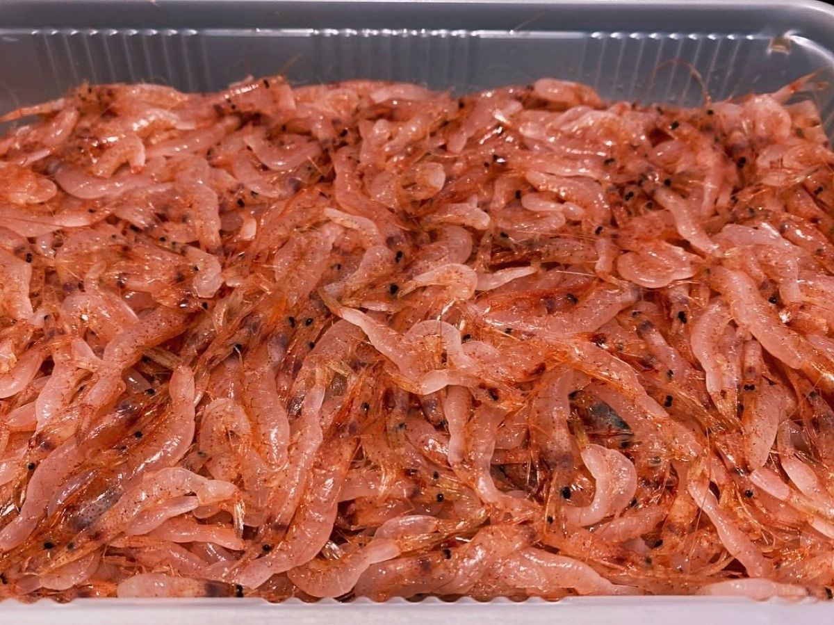 駿河湾産の桜えび