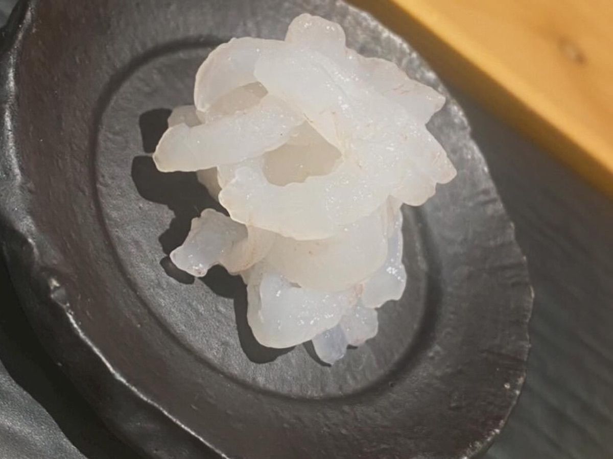 富山湾産 白えびのお刺身